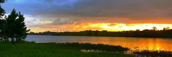 A Alma em Oferta – e a Internet que nos Esquadrinha