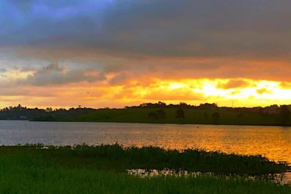 A Alma em Oferta – e a Internet que nos Esquadrinha