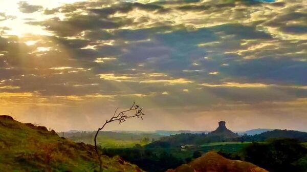 EXPOSIÇÃO | Ribeirão Claro, minha cidade natal, no centro de um escândalo nacional