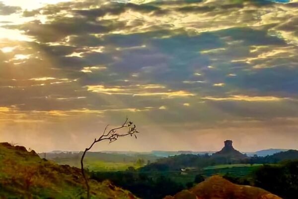 EXPOSIÇÃO | Ribeirão Claro, minha cidade natal, no centro de um escândalo nacional