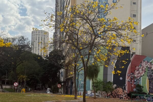 QUASE PRIMAVERA | É sempre tempo de se lembrar do humano