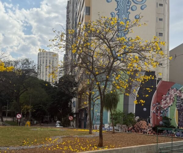 QUASE PRIMAVERA | É sempre tempo de se lembrar do humano