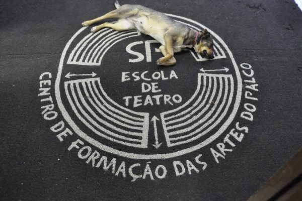 LUTO | Morre Cacilda, mascote da SP Escola de Teatro há 12 anos