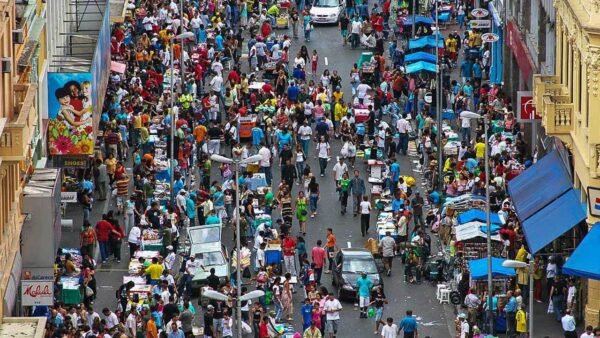 MEIO AMBIENTE | Reflorestando o Impossível