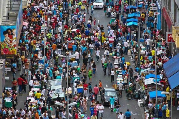 MEIO AMBIENTE | Reflorestando o Impossível